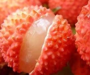 荔枝视频下载APP黄荔枝